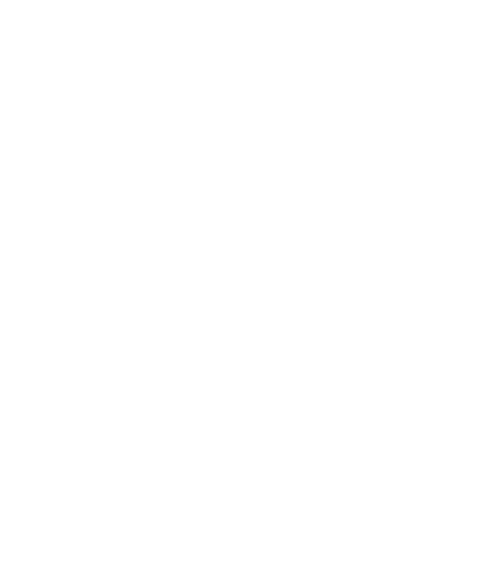Divinatory tortoise